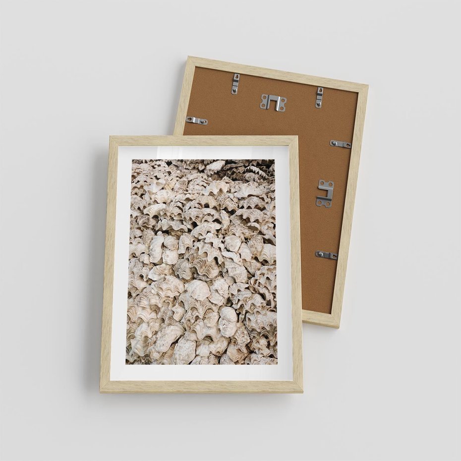 Plakat w ramie 30x40 - Symfonia Natury - kompozycja z białych muszli - rama drewno
