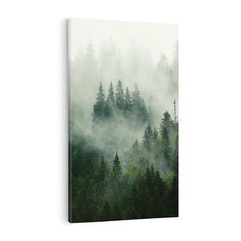 Obraz na płótnie 80x120 - Las Mgły - Las, we