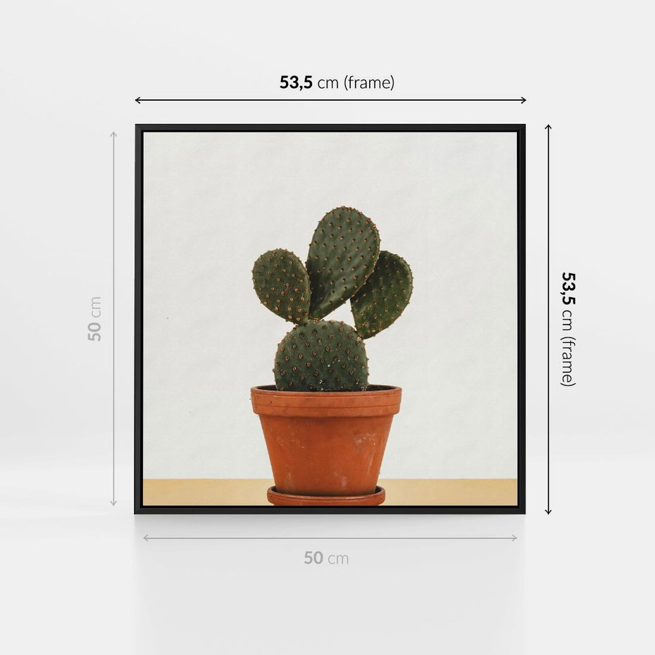 Obraz w ramie 50x50 - Kwiatowy taniec kaktusa - kaktus, kwiat - rama czarna