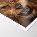 Plakat bez ramy 30x40 - Władca Sawanny - lew, sawanna