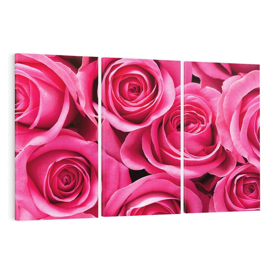 Obraz na płótnie 120x80 - Romantyczne róże w pełnym rozkwicie - róże, kwiaty