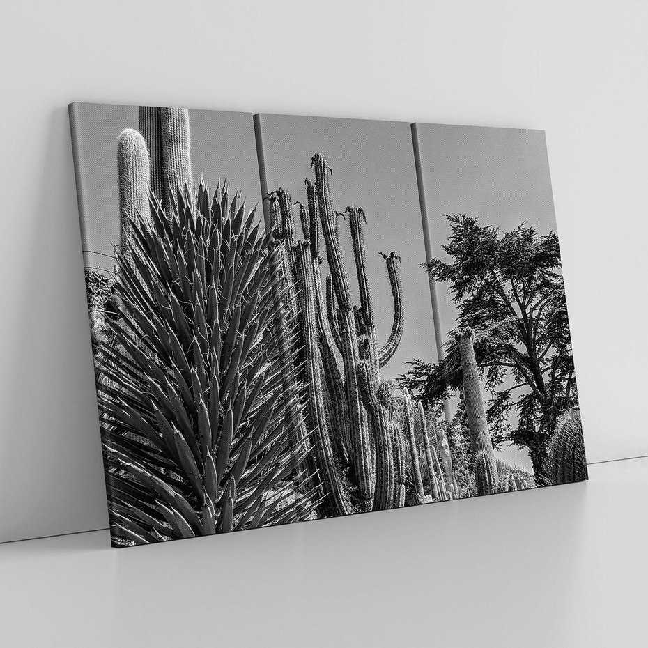 Obraz na płótnie 120x80 - Pustynny Klimat - czarno białe zdjecie, pustynia