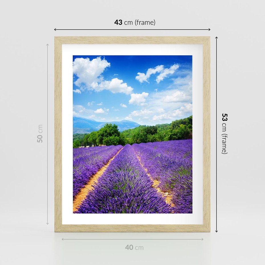 Plakat w ramie 40x50 - Prowansalska Lawenda - lawenda, prowansja - rama drewno