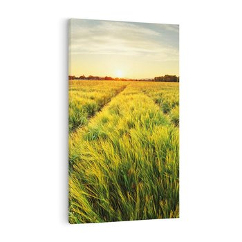 Obraz na płótnie 50x70 - Idylliczna łąka - łąka, natura