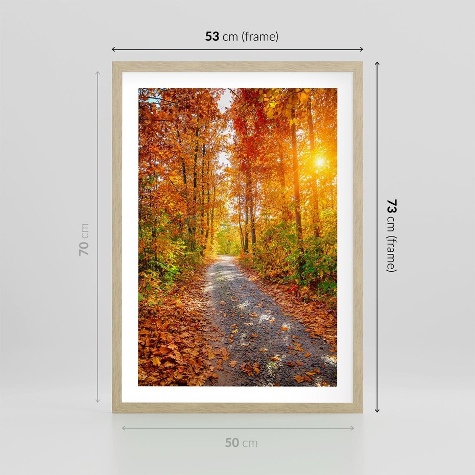 Plakat w ramie 50x70 - Kolorowe drzewa na ścieżce jesieni - las, jesień - rama drewno
