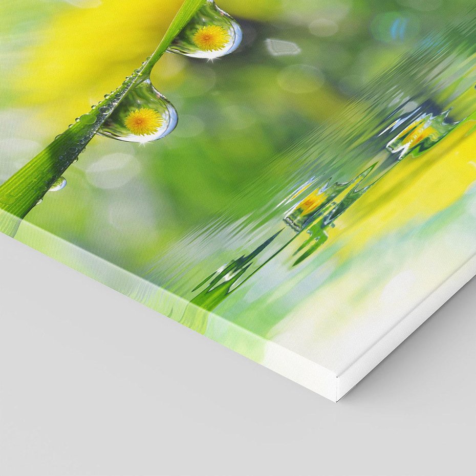 Obraz na płótnie 40x40 - Deszczowa Biedronka - biedronka, deszcz