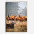 Obraz w ramie 50x70 - Malownicza Harmonia - jelenie, jesień - rama drewno