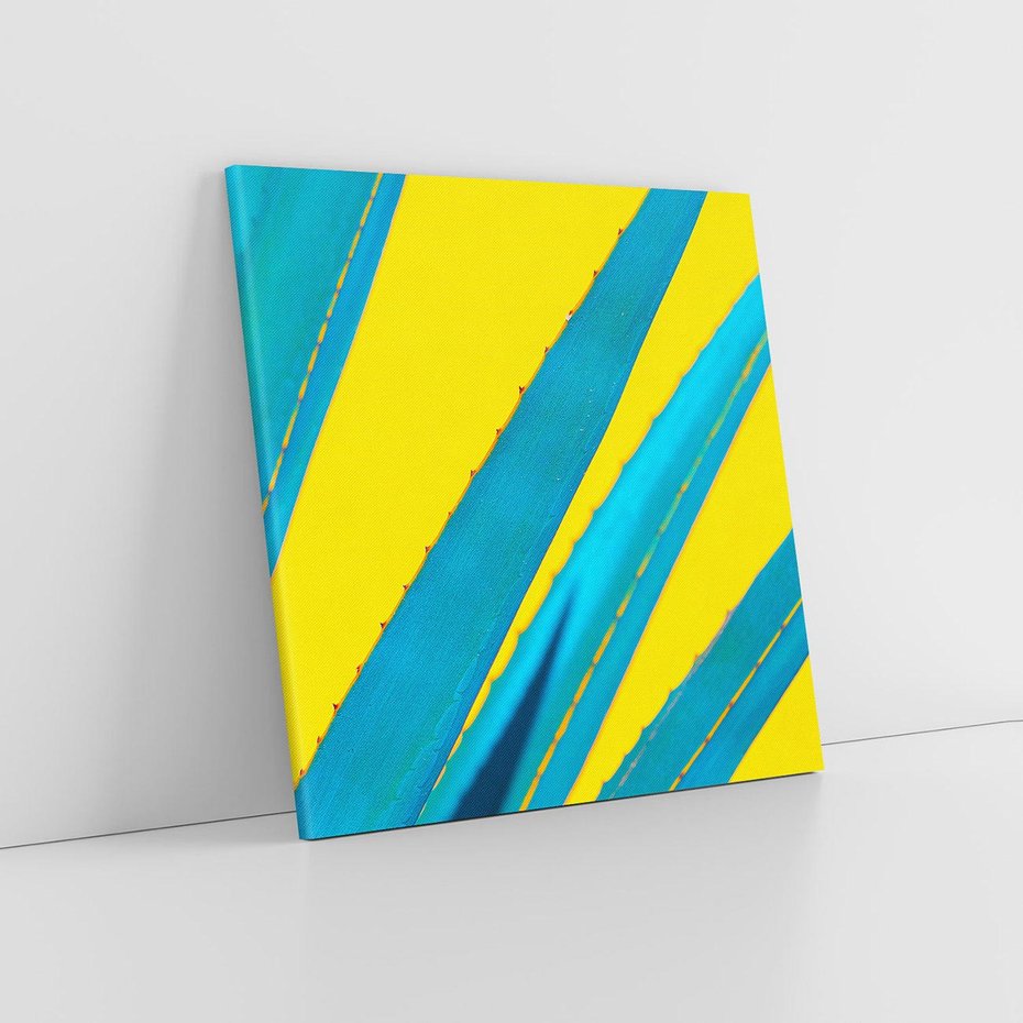 Obraz na płótnie 50x50 - Świeżość Natury - aloes, liście