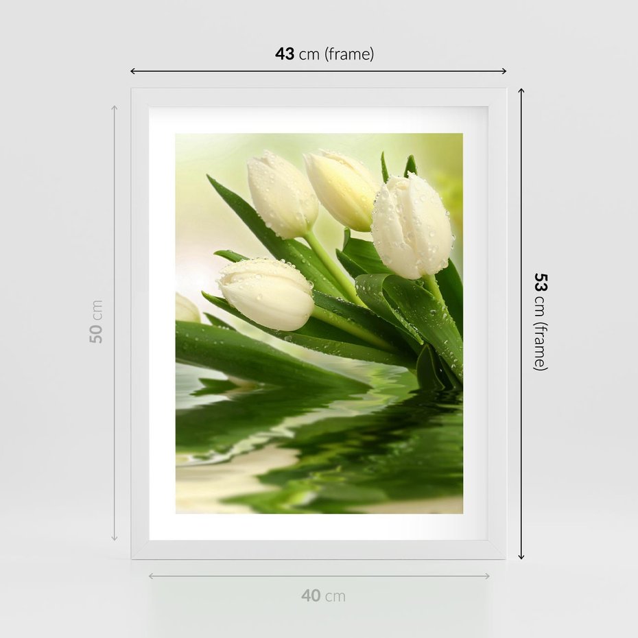 Plakat w ramie 40x50 - Białe Piękno - białe, tulipany - rama biała