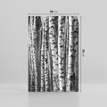 Obraz na płótnie 50x70 - Kontrast Monochromatyczny - brzozy, czarno