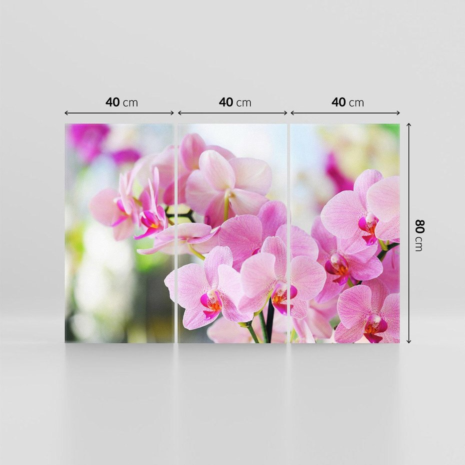 Obraz na płótnie 120x80 - Elegancja orchidei - orchidea, kwiaty