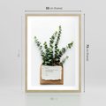 Plakat w ramie 50x70 - Eukaliptusowa harmonia - eukaliptus, liście - rama drewno