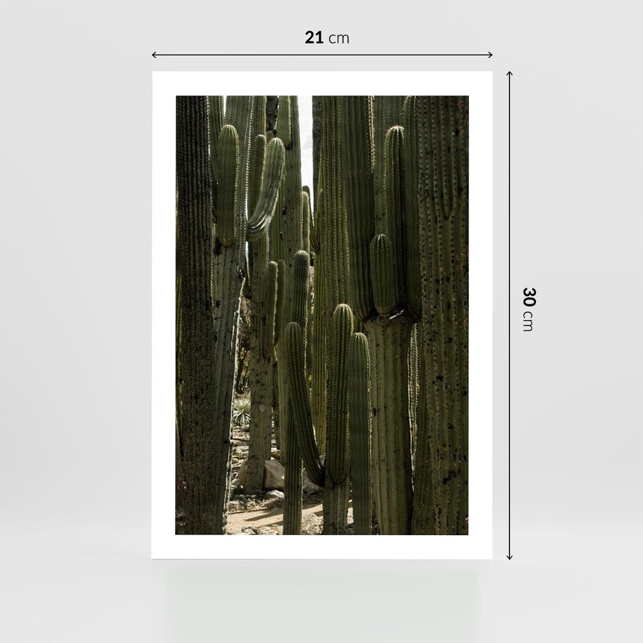 Plakat bez ramy 21x30 - Wyjątkowy Klimat Boho - kaktusy, pustynia