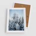 Plakat w ramie 50x70 - Magia Śnieżnych Drzew - zima, iglaste drzewa - rama biała