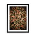Plakat w ramie 50x70 - Jesień z Lotu Ptaka: Malowniczy Las - las jesienią z lotu ptaka - rama czarna