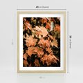 Plakat w ramie 40x50 - Ciepło Jesieni - jesienne pomarańczowe liśćie, jesień - rama drewno