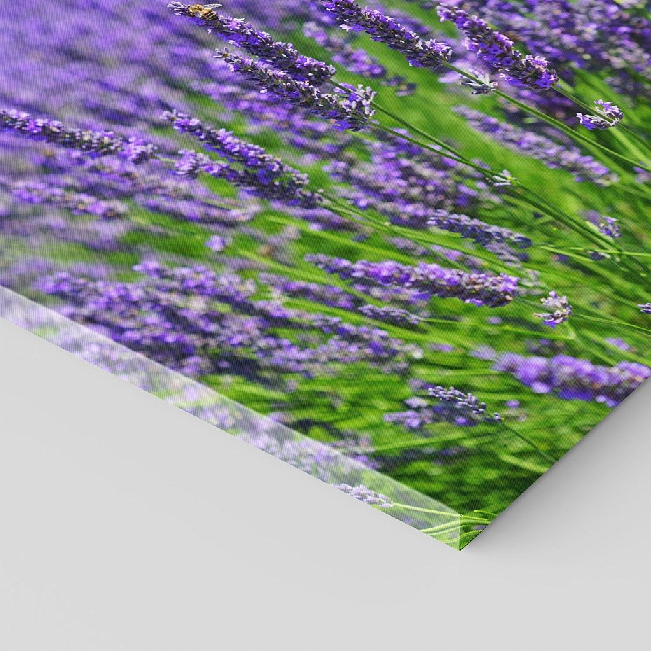 Obraz na płótnie 60x60 - Lawendowe pola piękno natury - lawenda, kwiaty