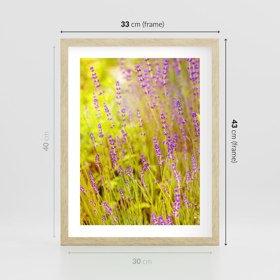 Plakat w ramie 30x40 - Delikatność natury - lawenda, kwiaty - rama drewno