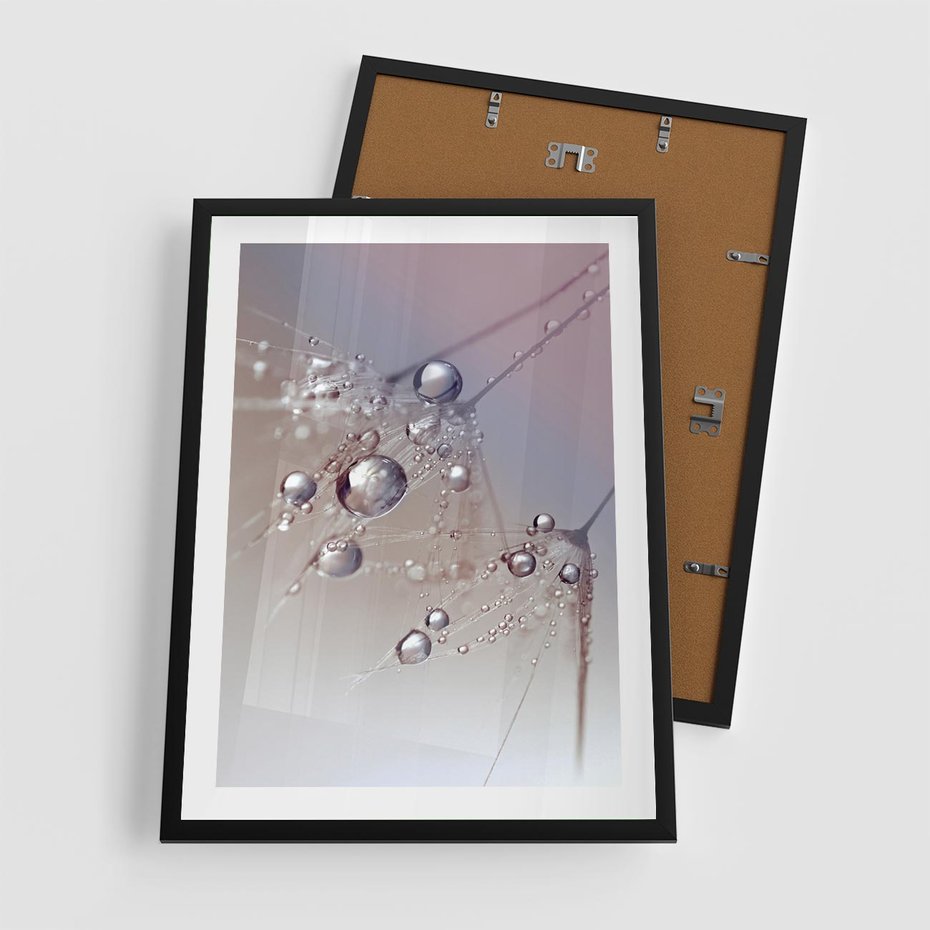 Plakat w ramie 50x70 - Delikatne Natchnienie - krople, dmuchawce - rama czarna