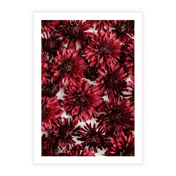 Plakat bez ramy 40x50 - Energia Kwiatów - czerwone kwiaty, kompozycja