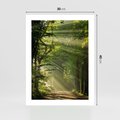 Plakat bez ramy 30x40 - harmonia natury - las, drzewa