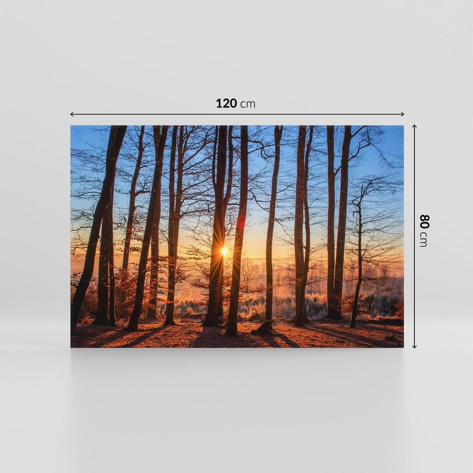 Obraz na płótnie 120x80 - Zachód słońca w jesiennym lesie - zachód słońca,