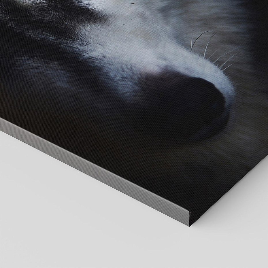 Obraz na płótnie 80x120 - Wilk i husky: siła przyjaźni - wilk, husky