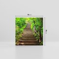 Obraz na płótnie 70x70 - Lasowa ścieżka pełna tajemnic - ścieżka, schody