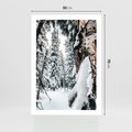 Plakat bez ramy 50x70 - Drzewa pod Śniegiem - zima las, drzewa pod śniegiem