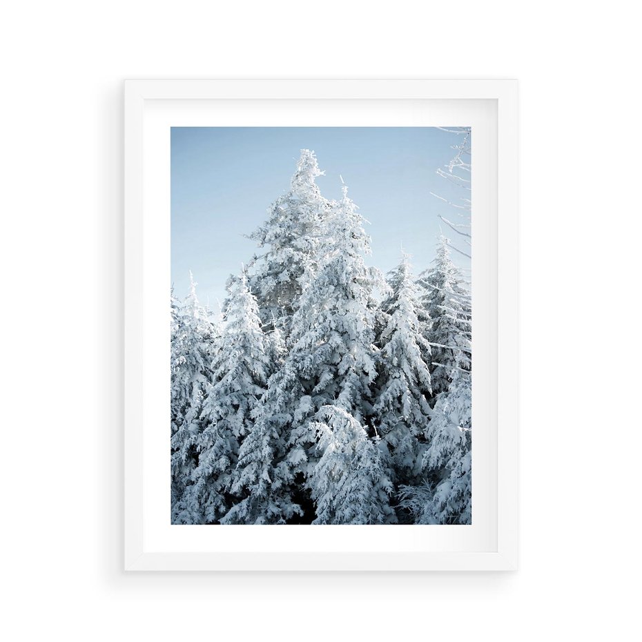 Plakat w ramie 40x50 - Magia Śnieżnych Drzew - zima, iglaste drzewa - rama biała