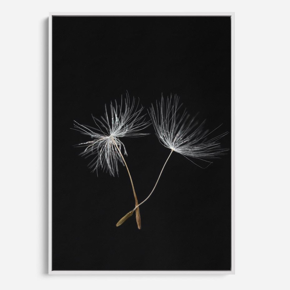 Obraz w ramie 80x120 - Delikatność Wiatru - dmuchawce, makro - rama biała