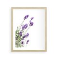 Plakat w ramie 40x50 - Delikatny Urok - lawenda, kwiaty - rama drewno
