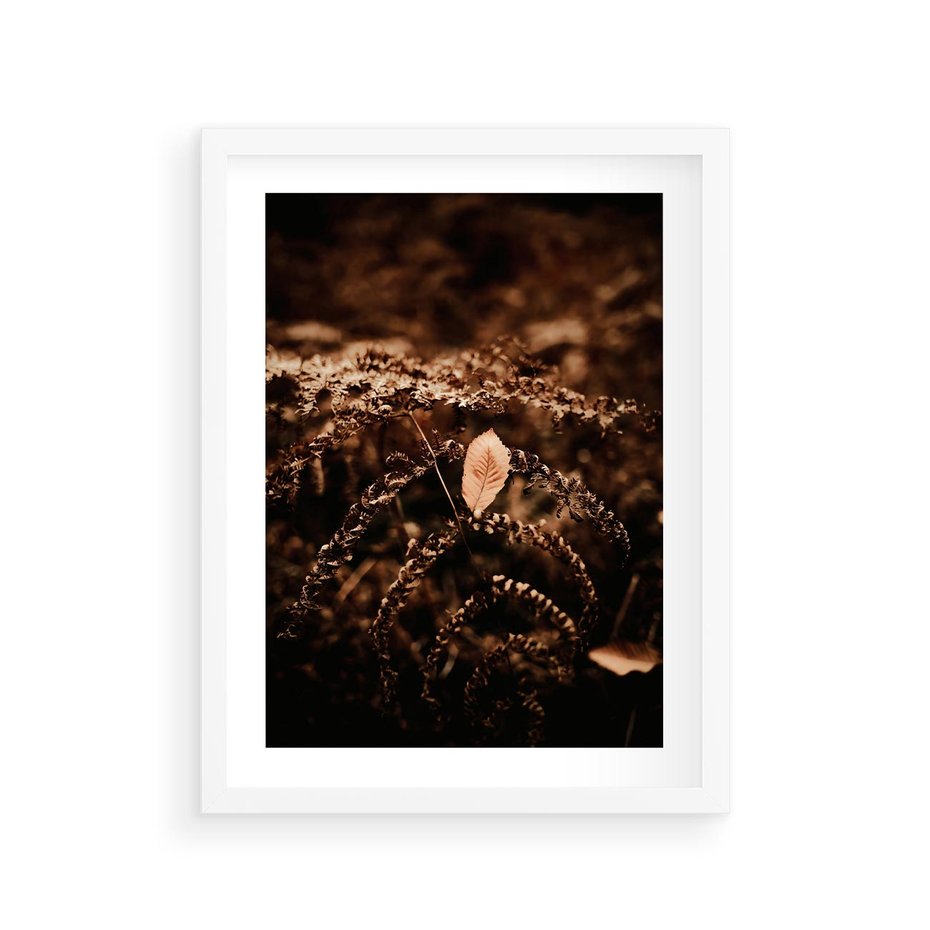 Plakat w ramie 30x40 - Gałęzie i Liść w Brązowej Tonacji - suche gałęzie, liść - rama biała