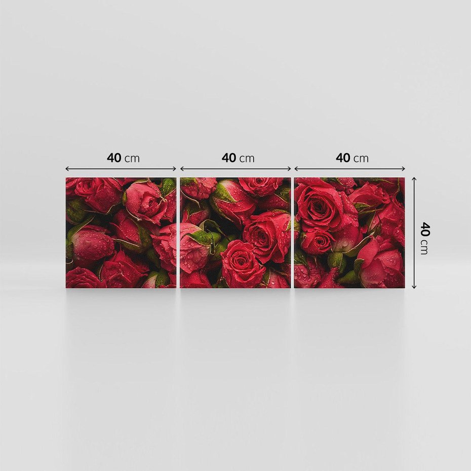 Obraz na płótnie 120x40 - Piękno róż: delikatność natury - róże, kwiaty