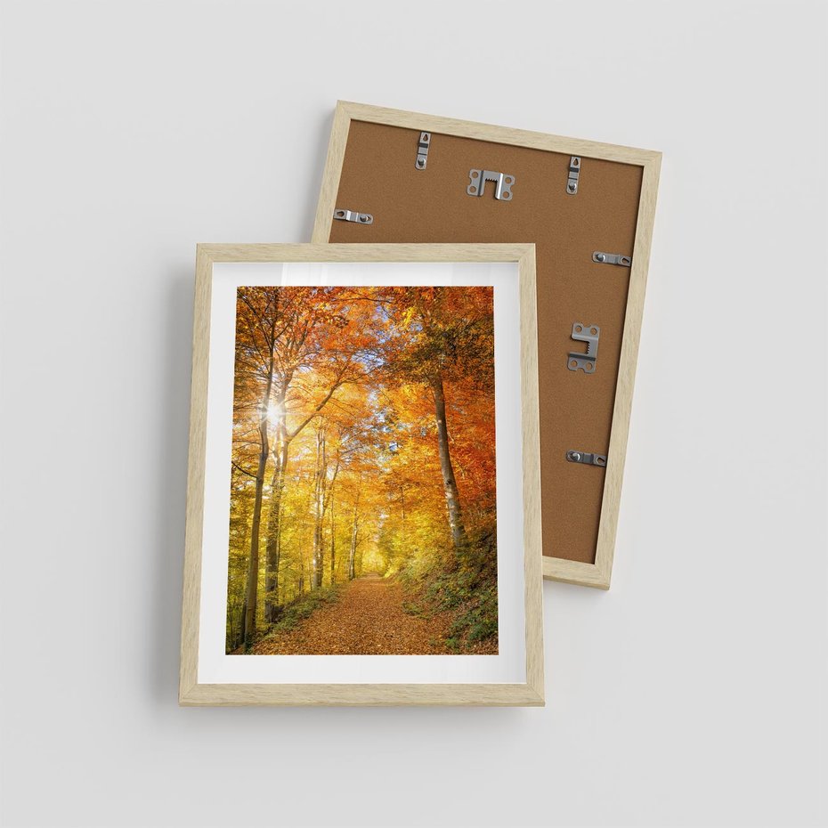 Plakat w ramie 30x40 - Złote barwy jesiennego lasu - las, jesień - rama drewno
