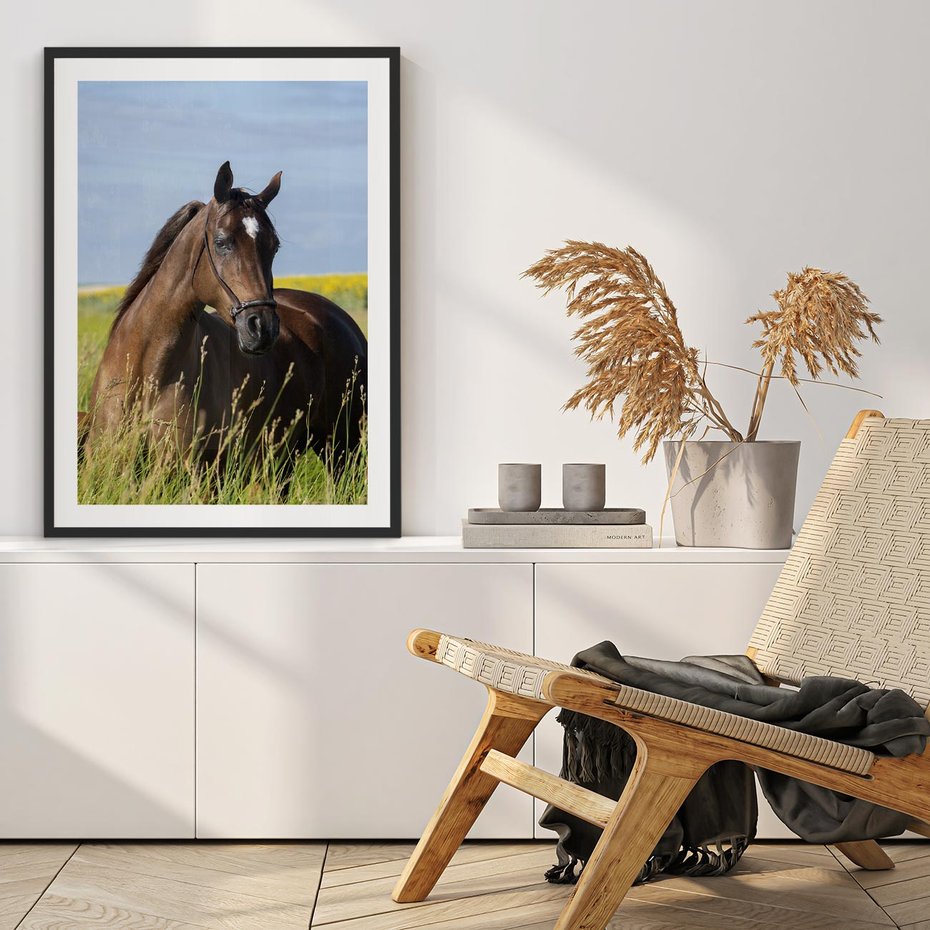 Plakat bez ramy 30x40 - Siła i piękno natury - koń, łąka