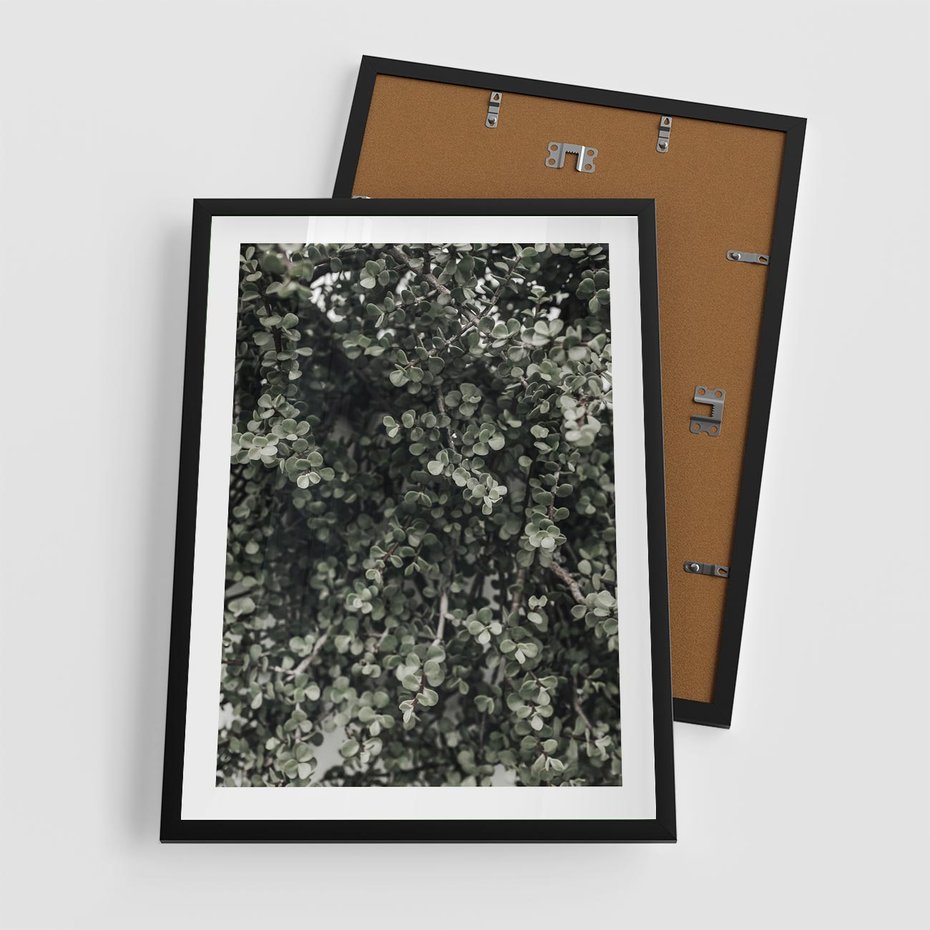 Plakat w ramie 50x70 - Jasnozielone Liście i Gałązki - liście, gałązki - rama czarna