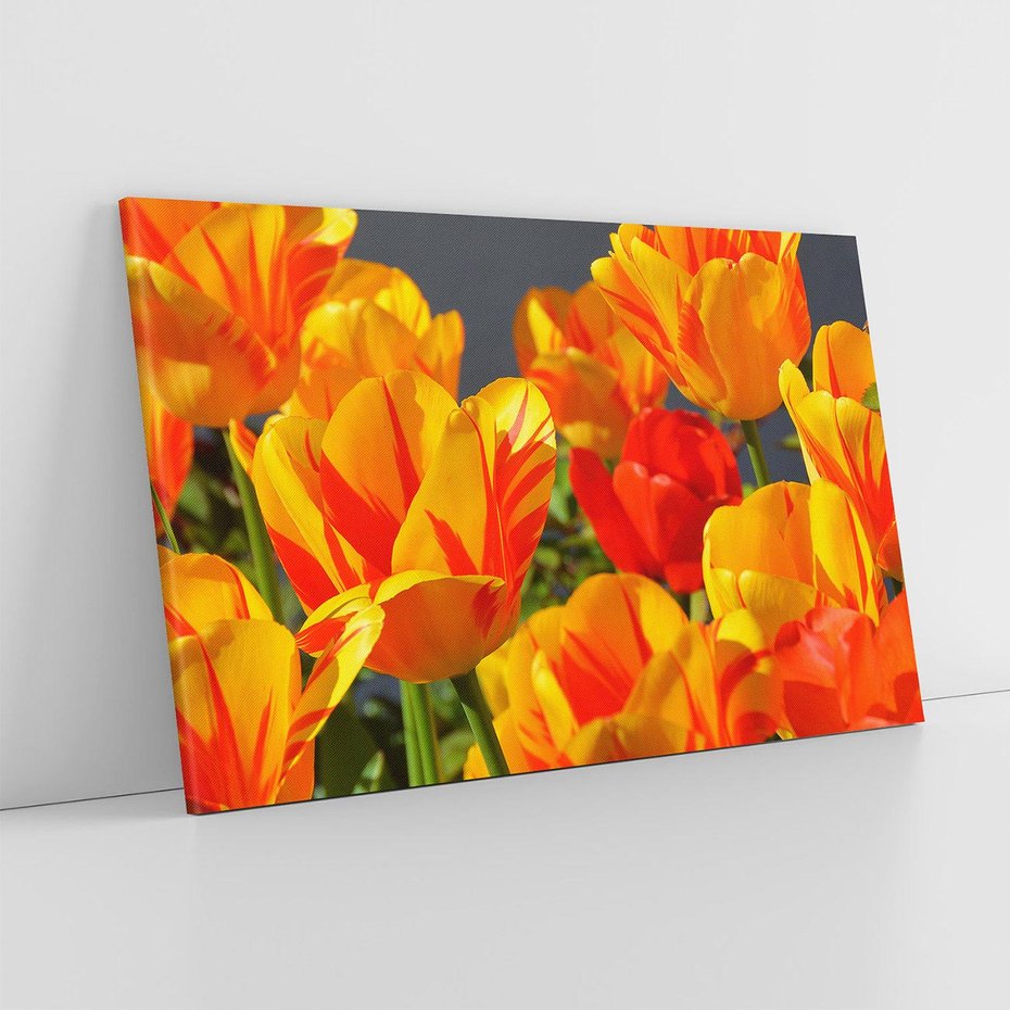 Obraz na płótnie 120x80 - Kwiatowa Harmonia - kwiaty, kwiat