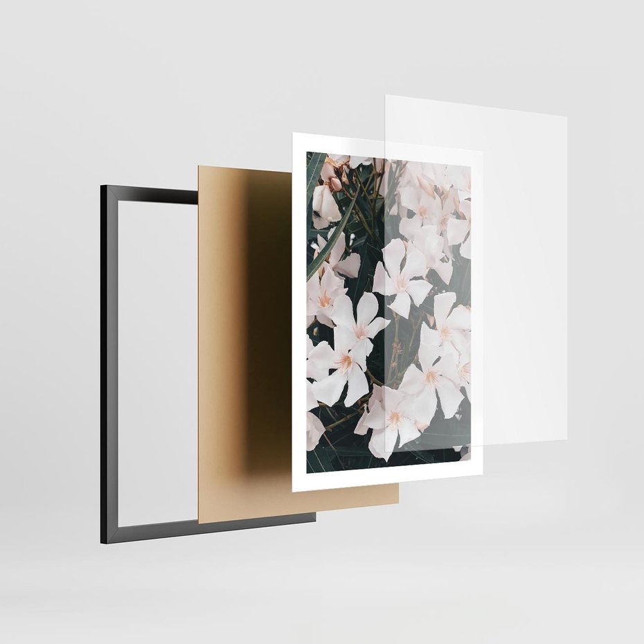 Plakat w ramie 50x70 - Egzotyczna Uroda - białe kwiaty, tropikalne kwiaty - rama czarna