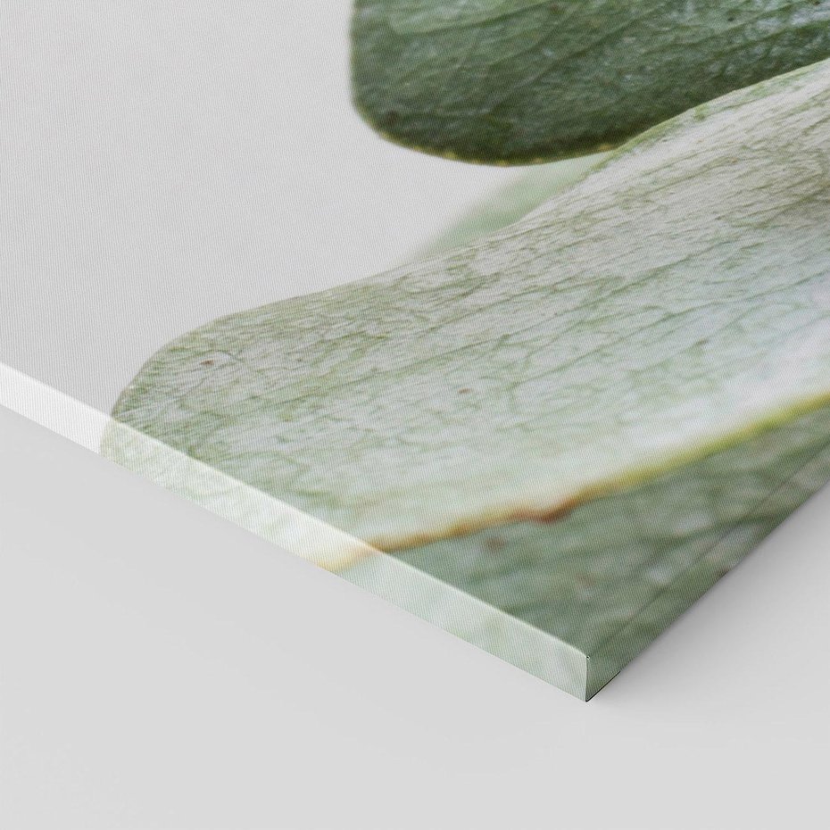 Obraz na płótnie 120x80 - Eukaliptusowa zieleń - eukaliptus, zielone