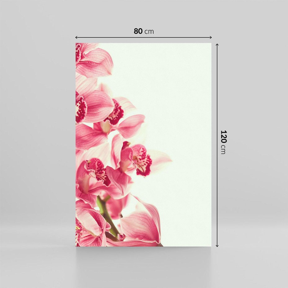 Obraz na płótnie 80x120 - Orchidea - delikatne kwiaty - orchidea, kwiaty