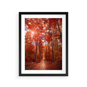 Plakat w ramie 50x70 - Magia jesiennego lasu - las, jesień - rama czarna