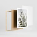 Plakat w ramie 50x70 - Ekskluzywna Roślinność - kaktusy, liście - rama drewno