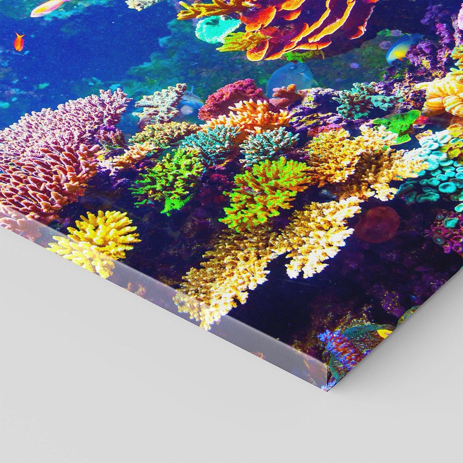 Obraz na płótnie 80x80 - Podwodne Zaczarowanie - kolorowa rafa koralowa, ukwiały
