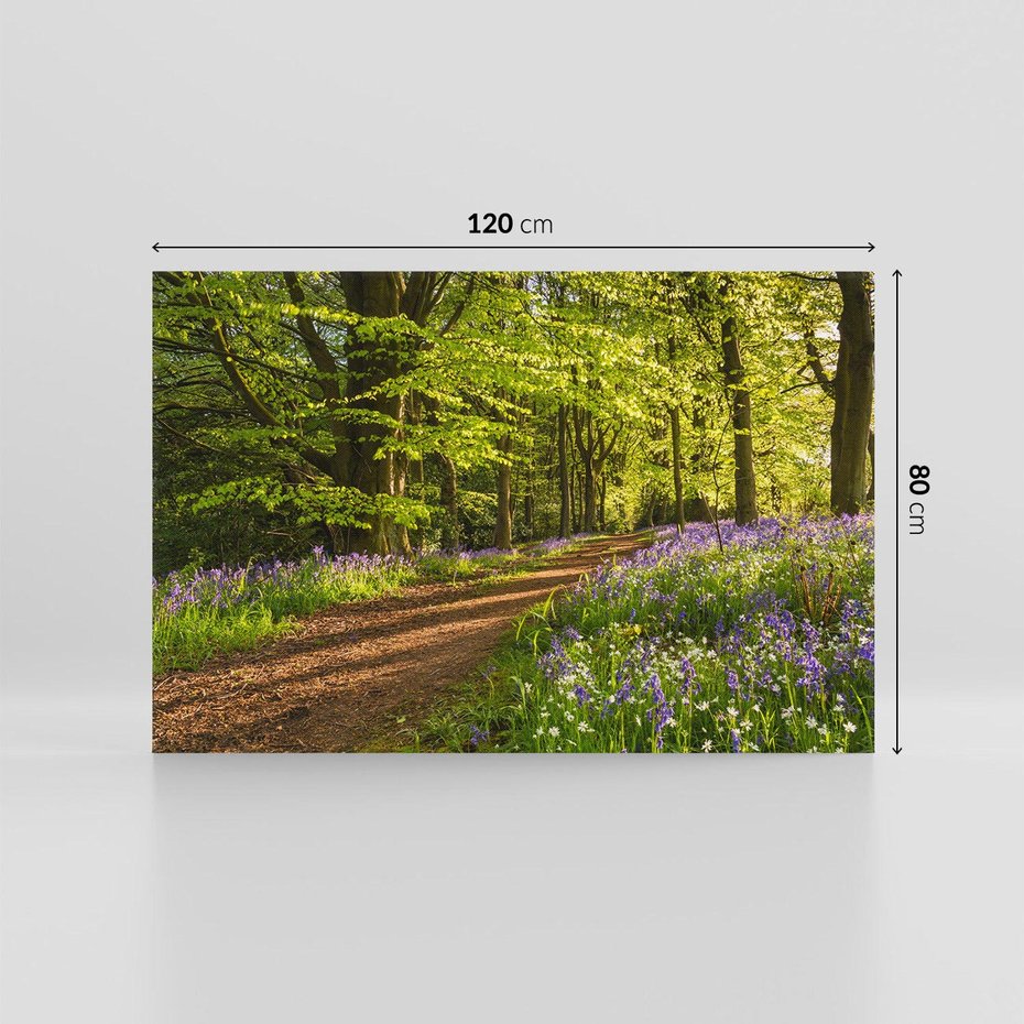 Obraz na płótnie 120x80 - Magia lasu: Drzewa w tajemniczej otoczce - las, drzewa