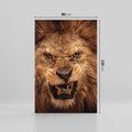 Obraz na płótnie 80x120 - Władca Sawanny - lew, sawanna