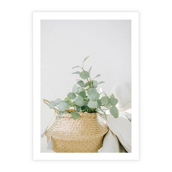 Plakat bez ramy 21x30 - Eukaliptusowa Świeżość - eukaliptus, liście w koszu z wikliny