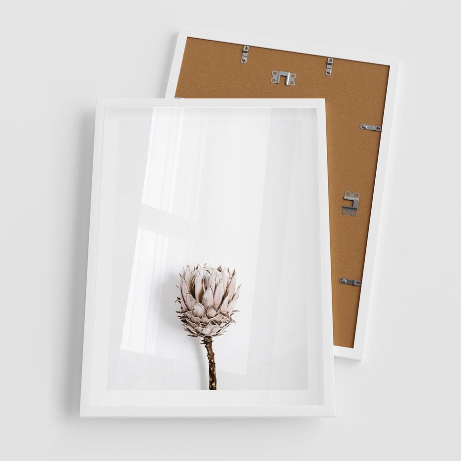 Plakat w ramie 50x70 - Suszona Roślina na Białym Tle - minimalizm, suszona roślina - rama biała