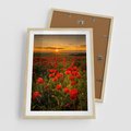 Plakat w ramie 50x70 - Maki przy zachodzie słońca - maki, zachód - rama drewno