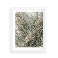 Plakat w ramie 40x50 - Egzotyczny Świat Palm - palmy, liście palmy - rama biała